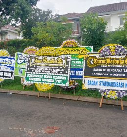 papan bunga lampung