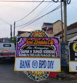 papan bunga lampung